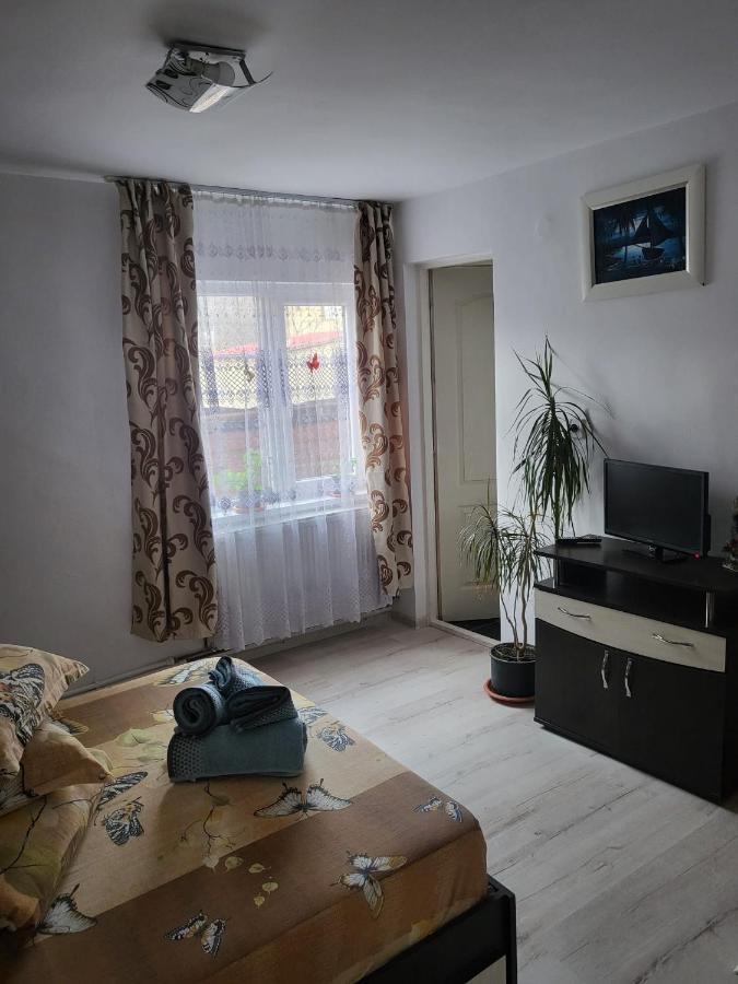Pensiunea Lacramioara Vatra Dornei Exterior foto